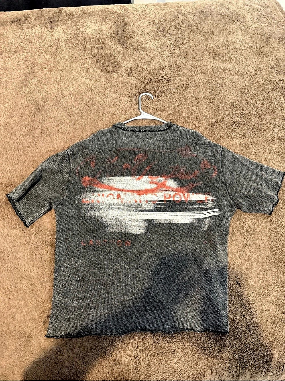 Zara Graphic Short Sleeve Tee in Gray